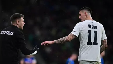 فرصة لجراديشار.. منتخب سلوفينيا يعلن استبعاد سيسكو